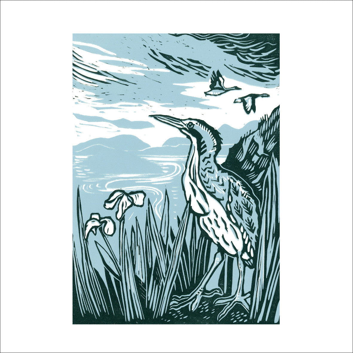 "Bittern" card by Joanna Martin