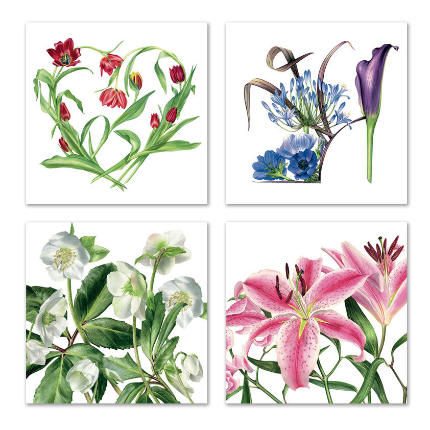 Botanical notecards by Billy Showell