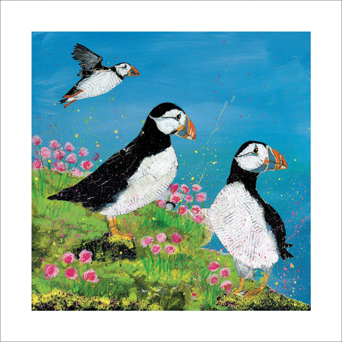 "Clifftop Puffins" card by Adam James Severn