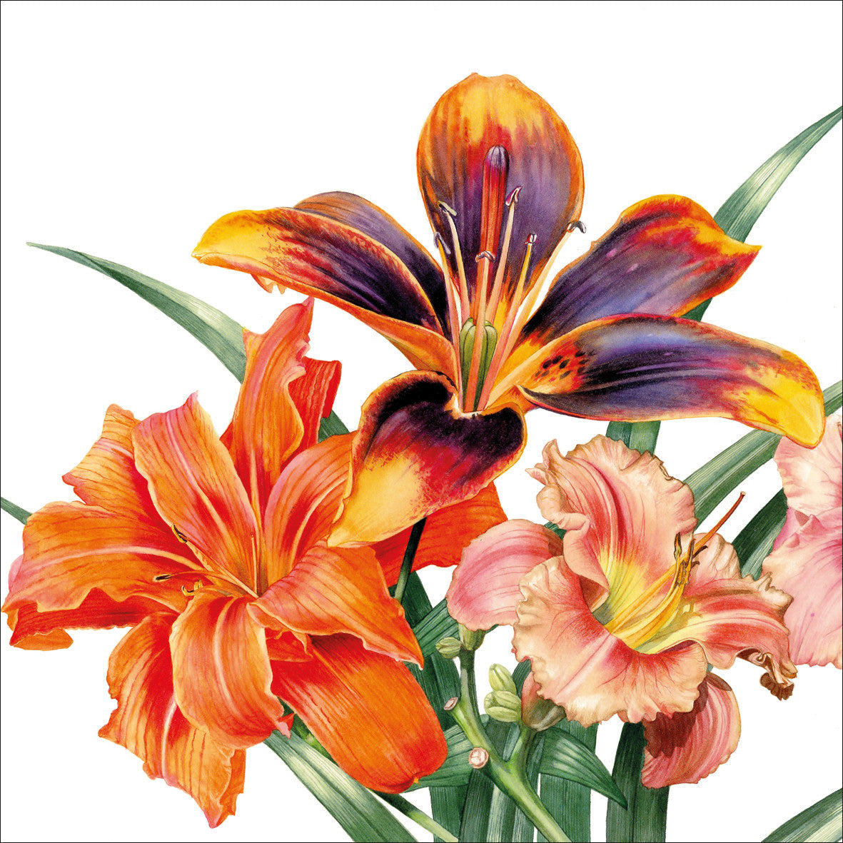 "Day Lilies" card by Billy Showell