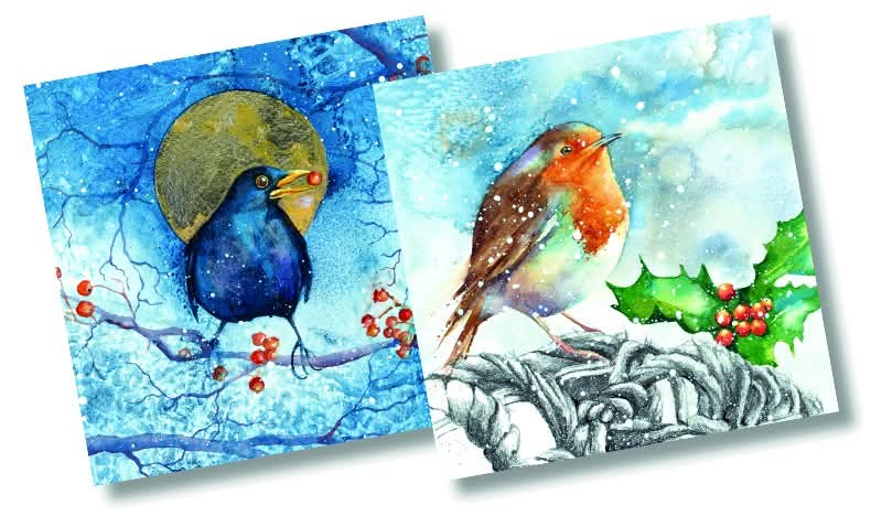 Midnight Feast & Robin Christmas card pack of 10 by Rachel Toll