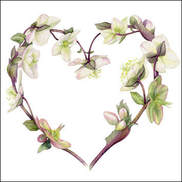 "Hellebore Heart" card by Billy Showell