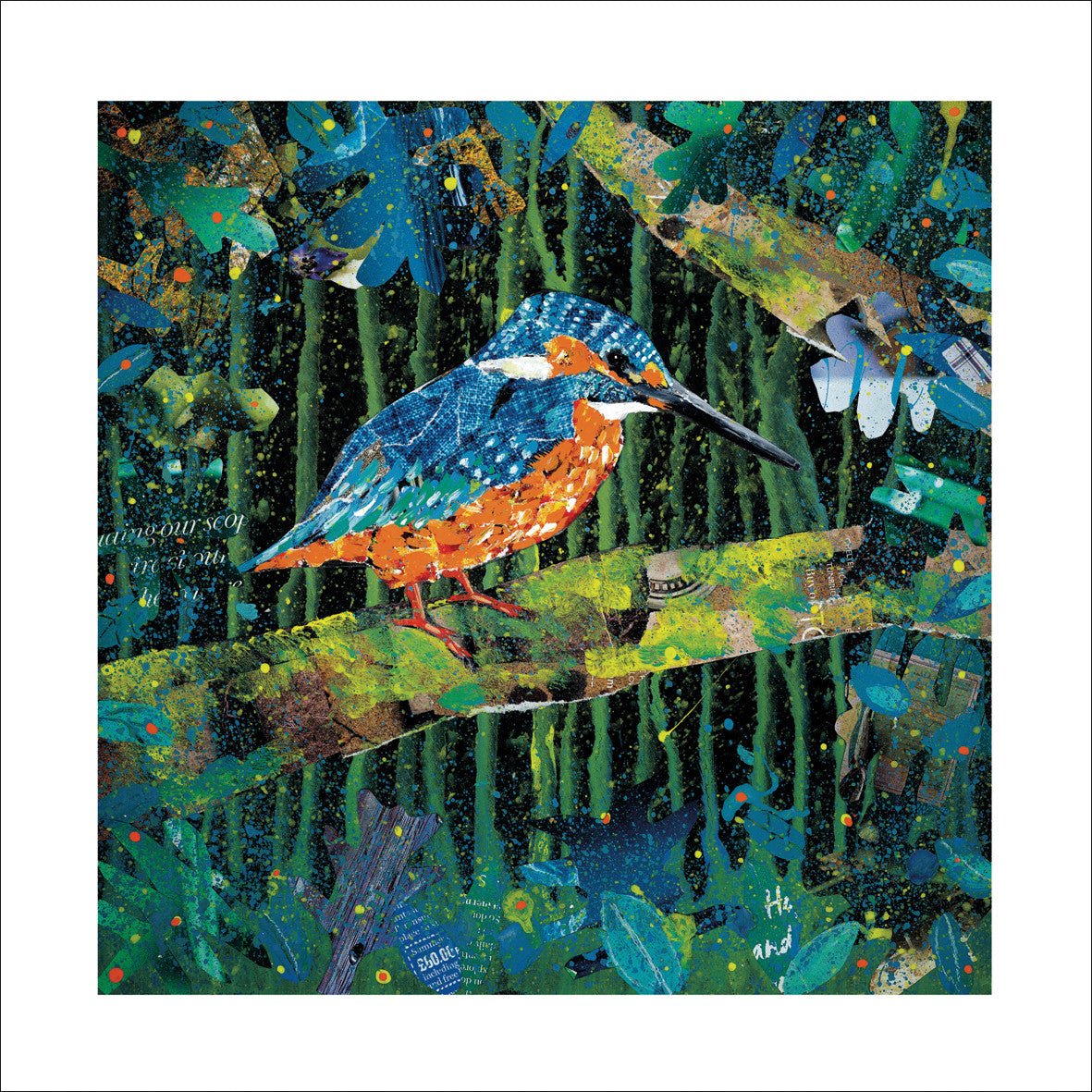 "River King" kingfisher card by Adam James Severn