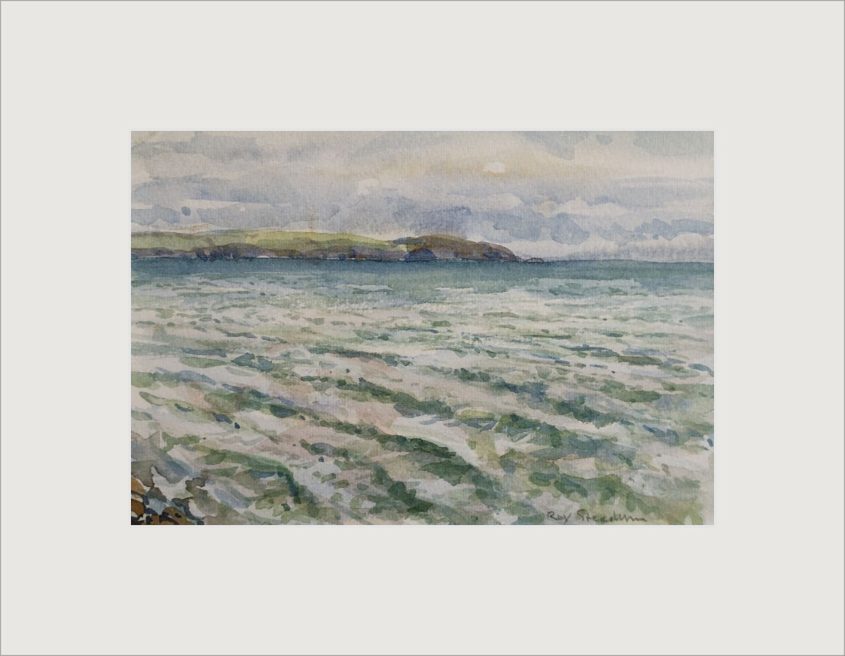 "Gribbin Head" by Roy Steadman