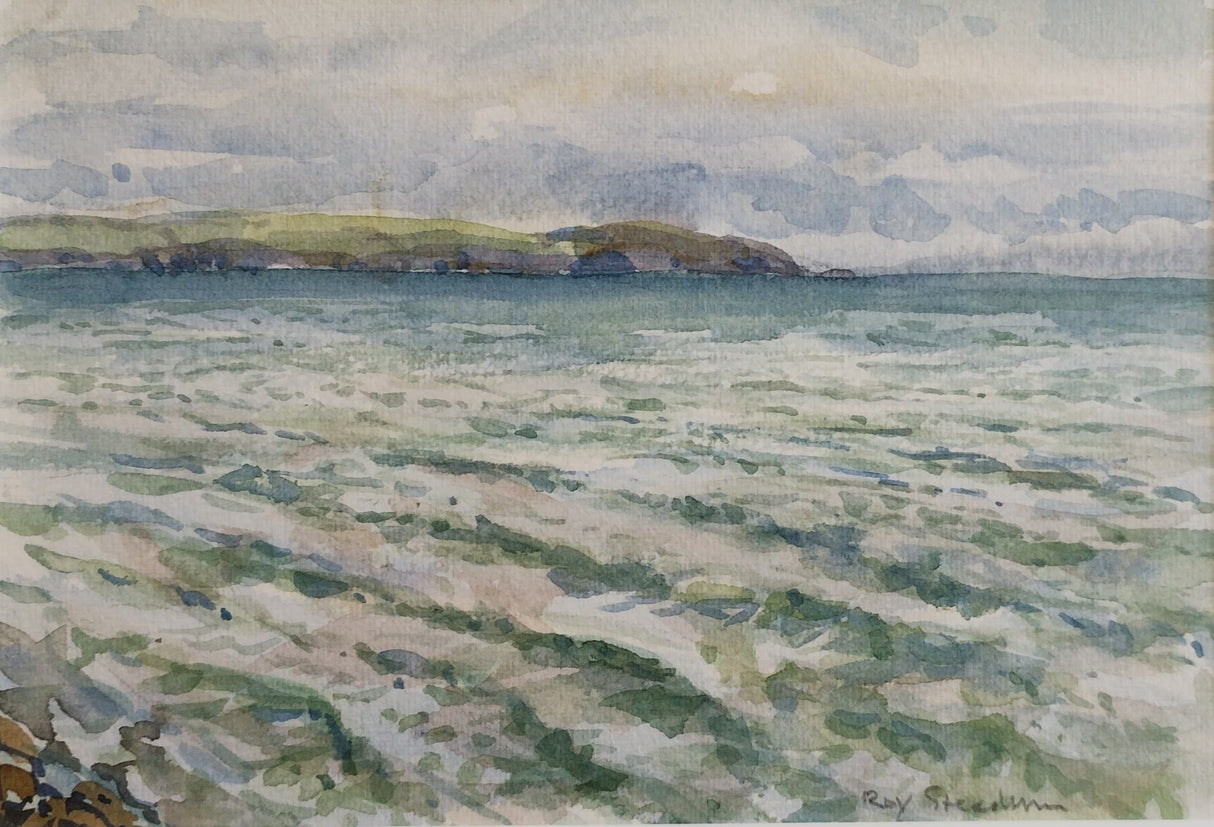 "Gribbin Head" by Roy Steadman