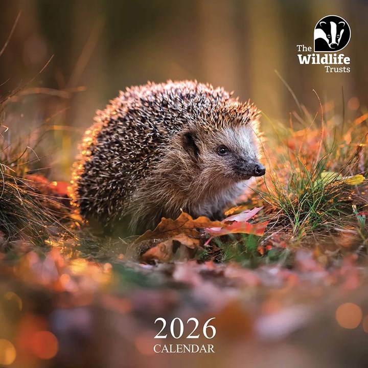 Wildlife Trusts Calendar 2026