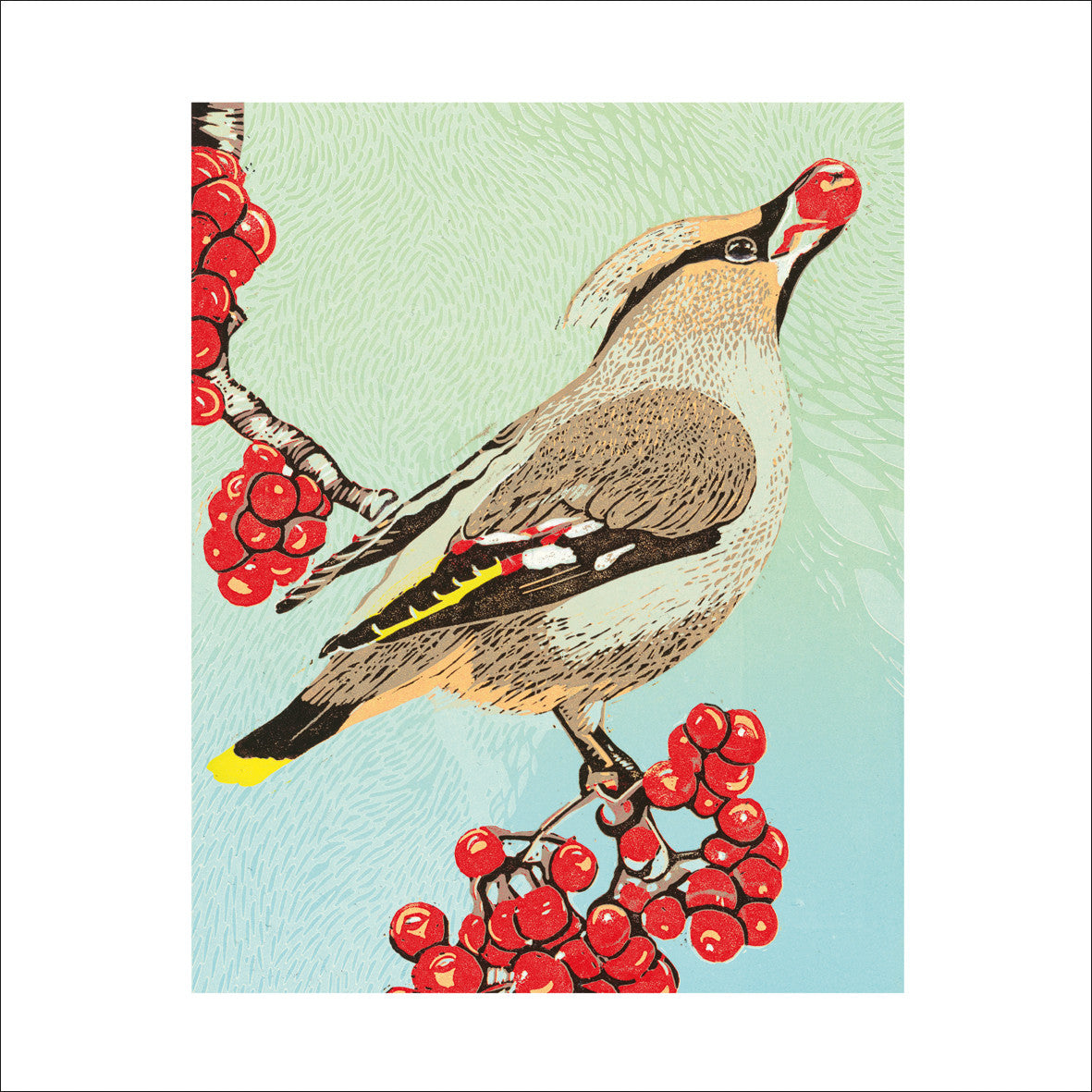 "Waxwing & Rowan Berries" card by Lindsay Perrett