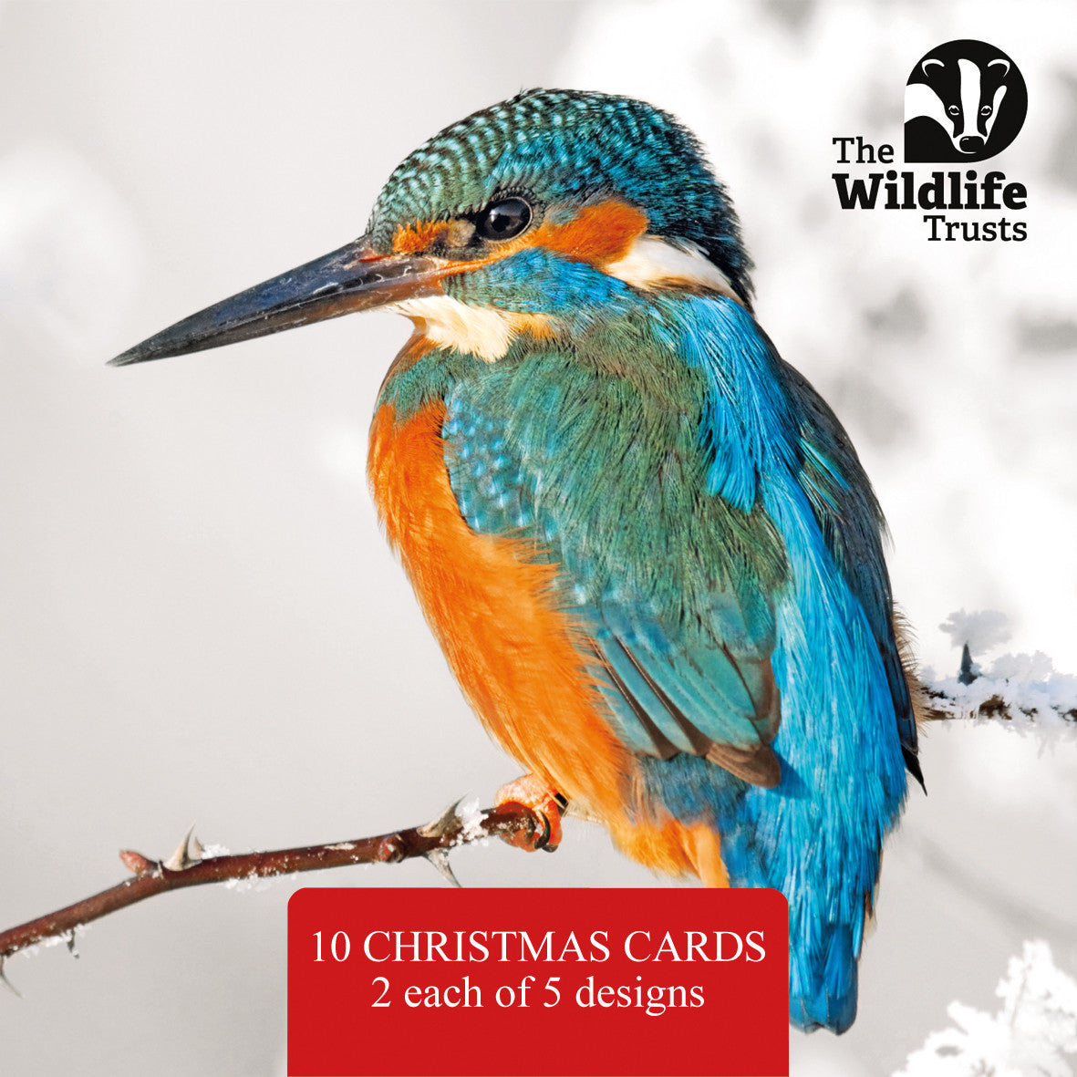 Wildlife Trust mixed pack of 10 photographic Christmas cards
