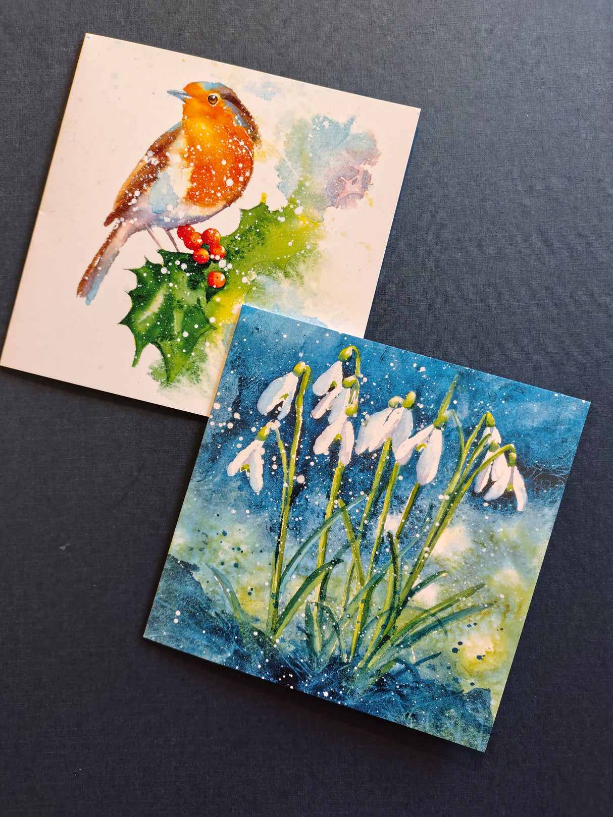 Snowdrops & Robin and Holly Christmas card pack of 10 by Rachel Toll