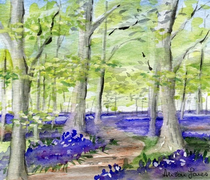 Alison Jones Bluebell Wood Print (COM)