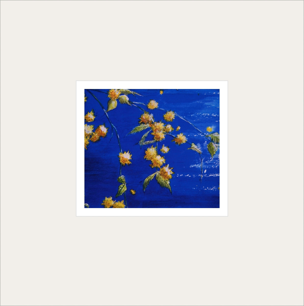 Alison Jones Kerria Japonica, Japanese Rose Print (COM)