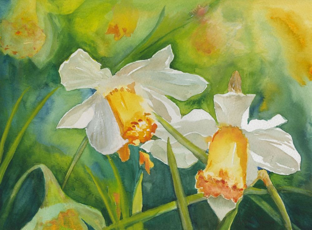 Alison Jones Daffodils Print (COM)