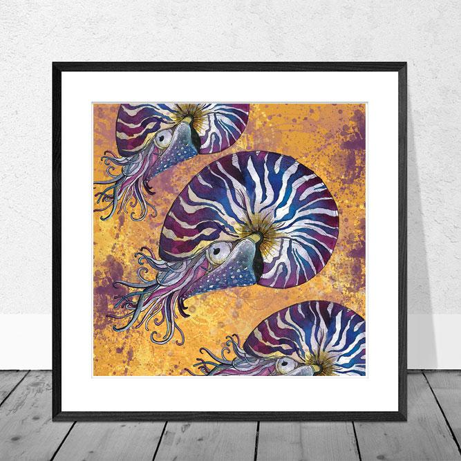 Nautilus print by Dollyhotdogs