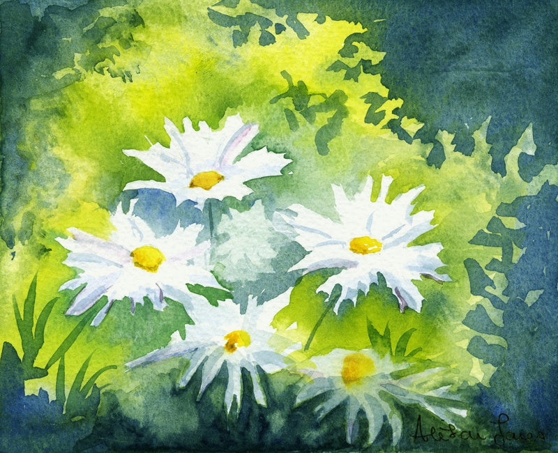 Alison Jones Michaelmas Daisies Print (COM)