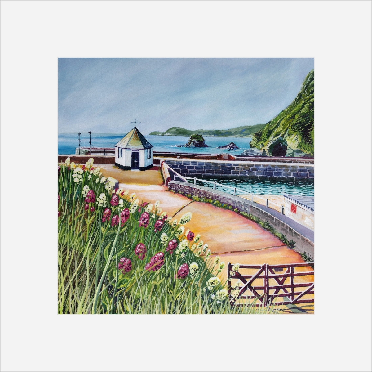 "Summer Flowers at Charlestown Harbour" prints by Liz Hackney