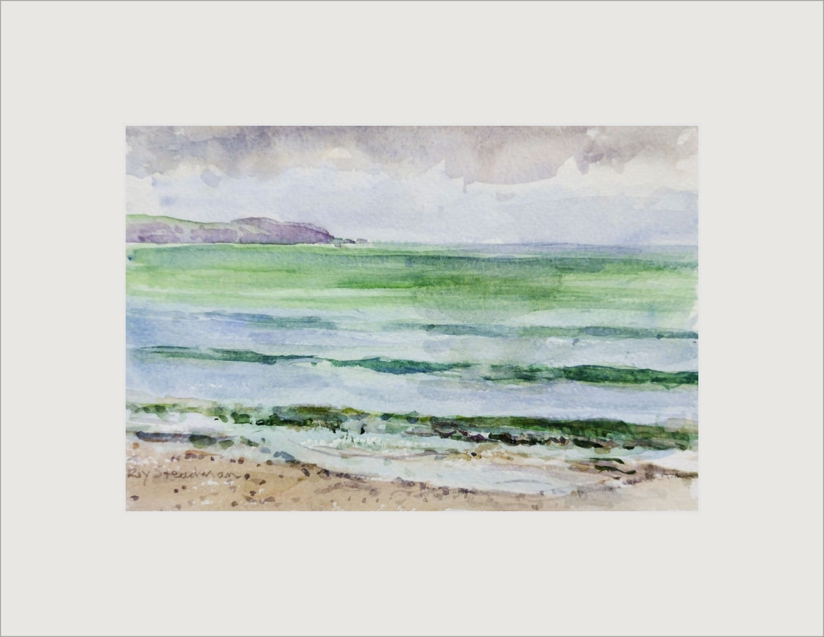 "Charlestown Beach Shoreline" by Roy Steadman