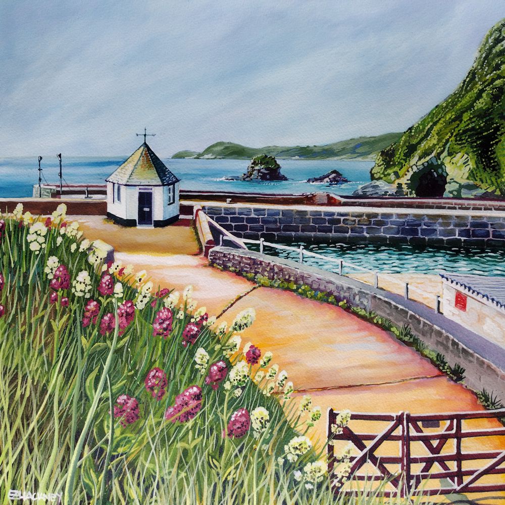 "Summer Flowers At Charlestown Harbour" by Liz Hackney