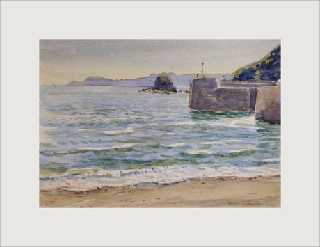 Roy Steadman paintings