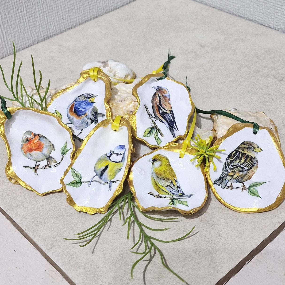 NEW Garden Birds Hanging Ornament Oyster Shells x 6 Pieces