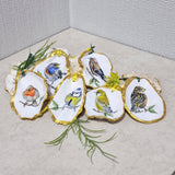 NEW Garden Birds Hanging Ornament Oyster Shells x 6 Pieces