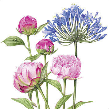 "Agapanthus & Peonies" card by Billy Showell