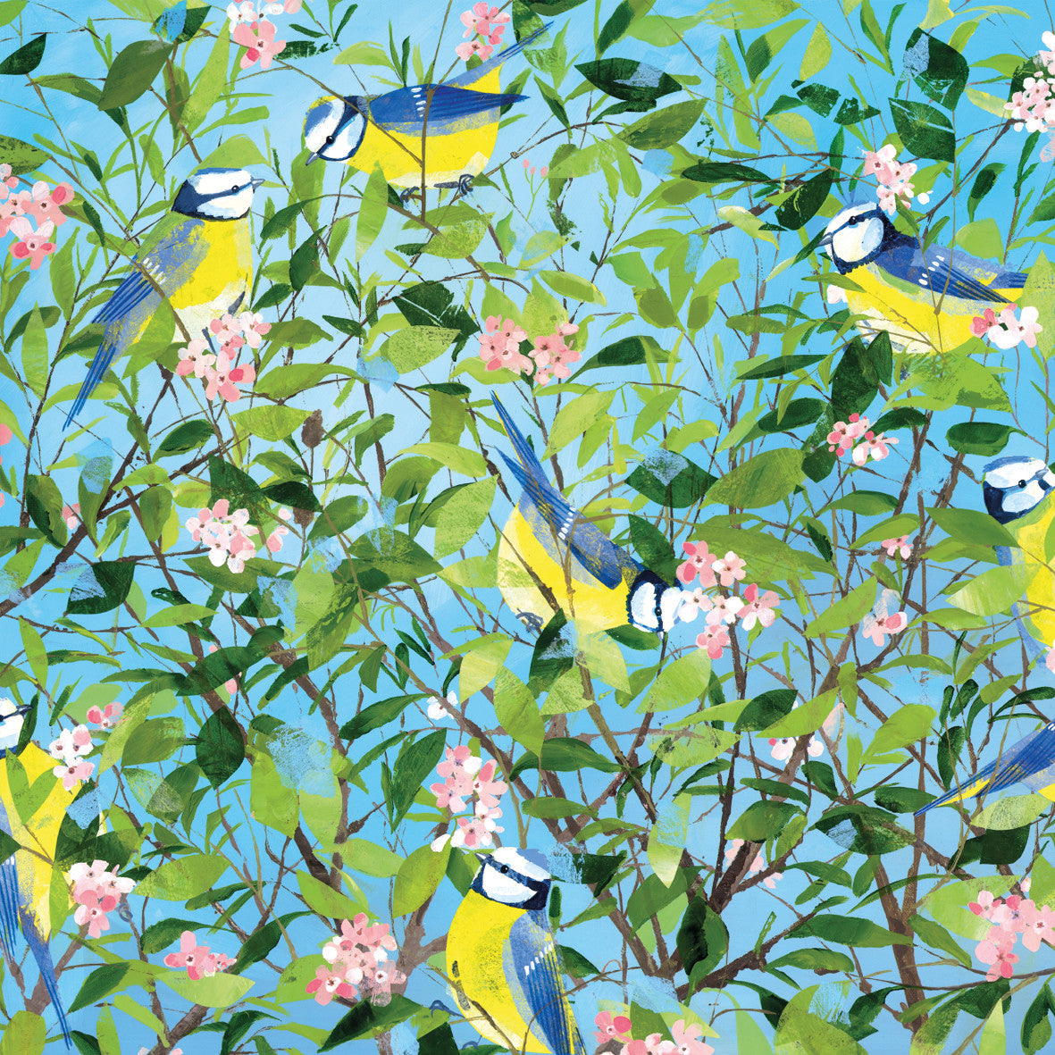 Blue Tits and Blossom, card Claire Henley Card