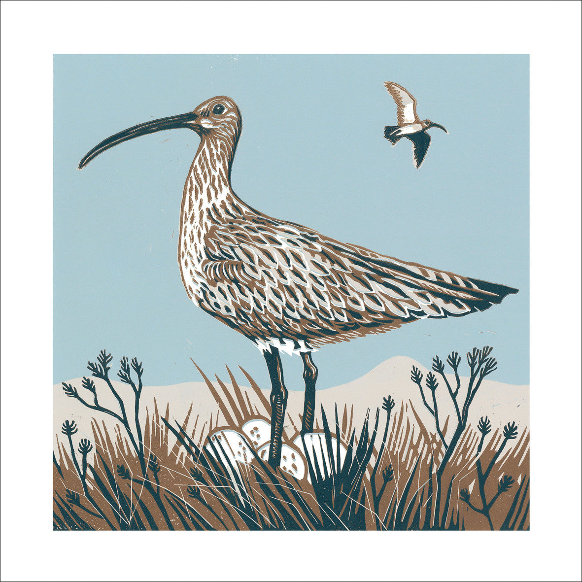 "Curlew on Guard" card by Joanna Martin