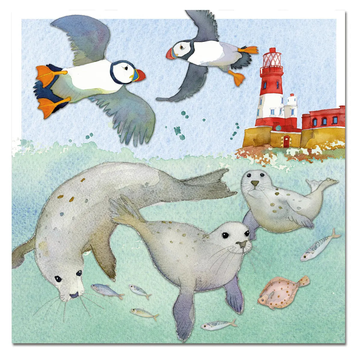 Seals and Puffins card by Emma Ball