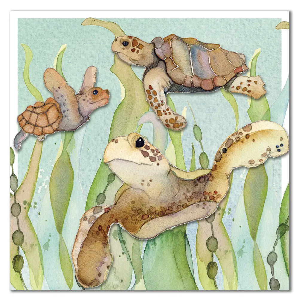 Turtle card by Emma Ball