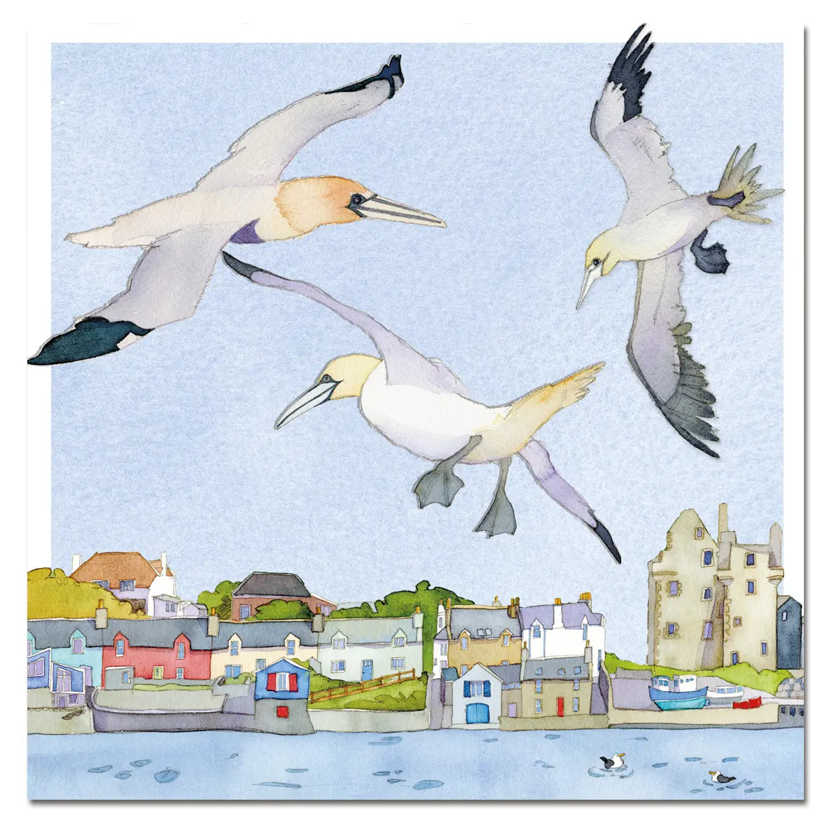 Gannets Flying Sealife card by Emma Ball