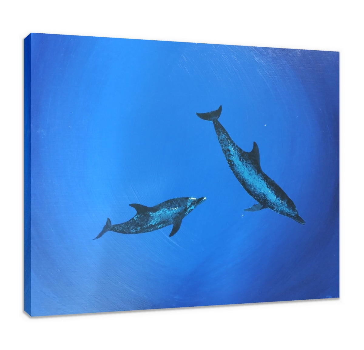 Atlantic Spotted Dolphins, original painting by Paddy Martin (COM)