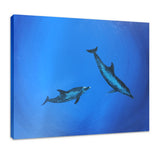 Atlantic Spotted Dolphins, original painting by Paddy Martin (COM)