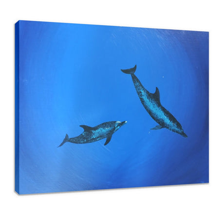 Atlantic Spotted Dolphins, original painting by Paddy Martin (COM)