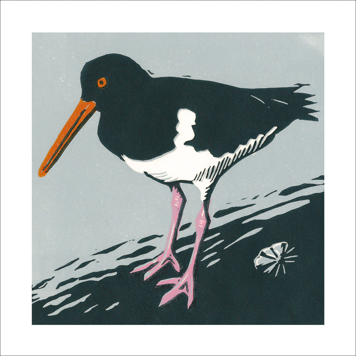"Oystercatcher" card by Joanna Martin