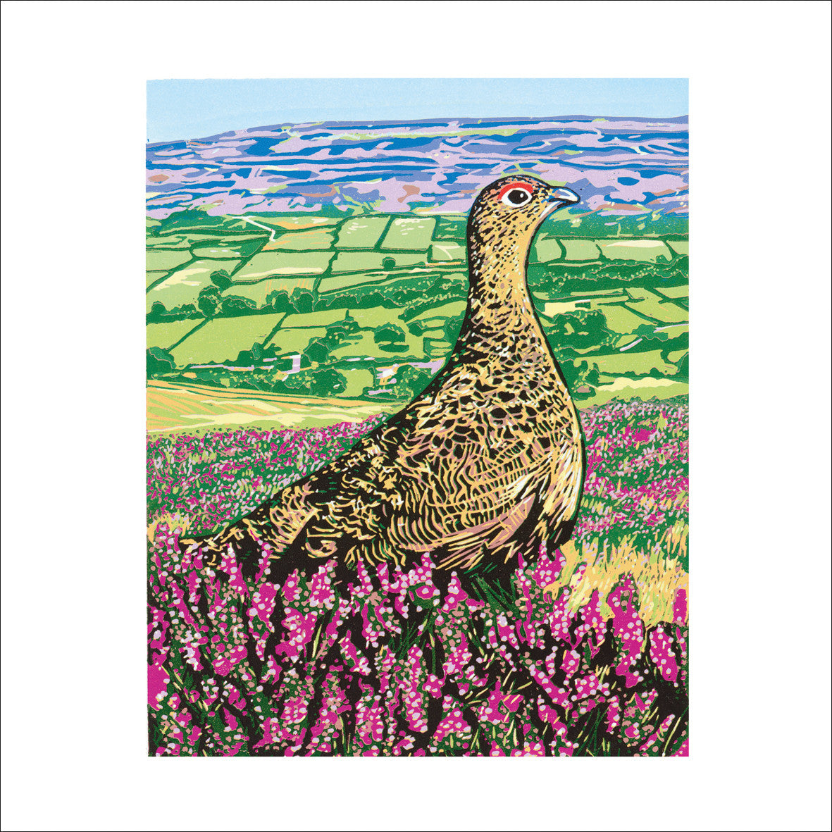 Red Grouse card by Lindsay Perrett
