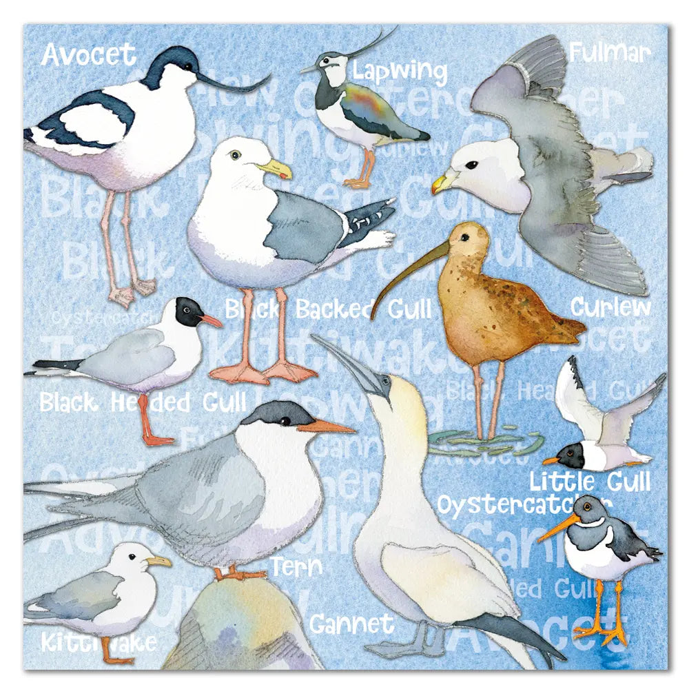 Seabirds Sealife card by Emma Ball