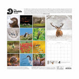 Wildlife Trusts Calendar 2026