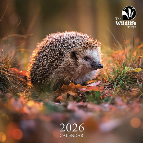 Wildlife Trusts Calendar 2026