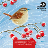 Wildlife Trust mixed art pack of 10 Christmas cards by Denise Coble