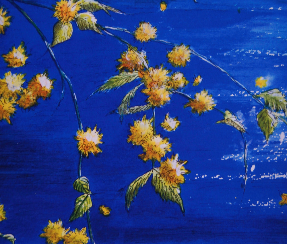 Alison Jones Kerria Japonica, Japanese Rose Print (COM)