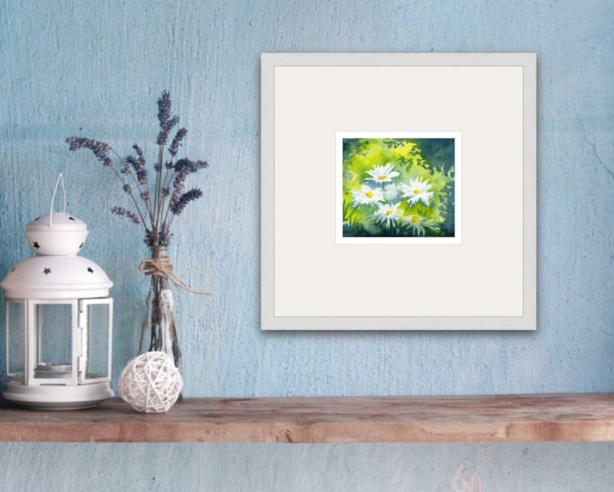 Alison Jones Michaelmas Daisies Print (COM)