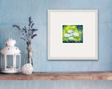 Alison Jones Michaelmas Daisies Print (COM)