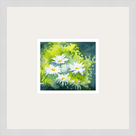 Alison Jones Michaelmas Daisies Print (COM)