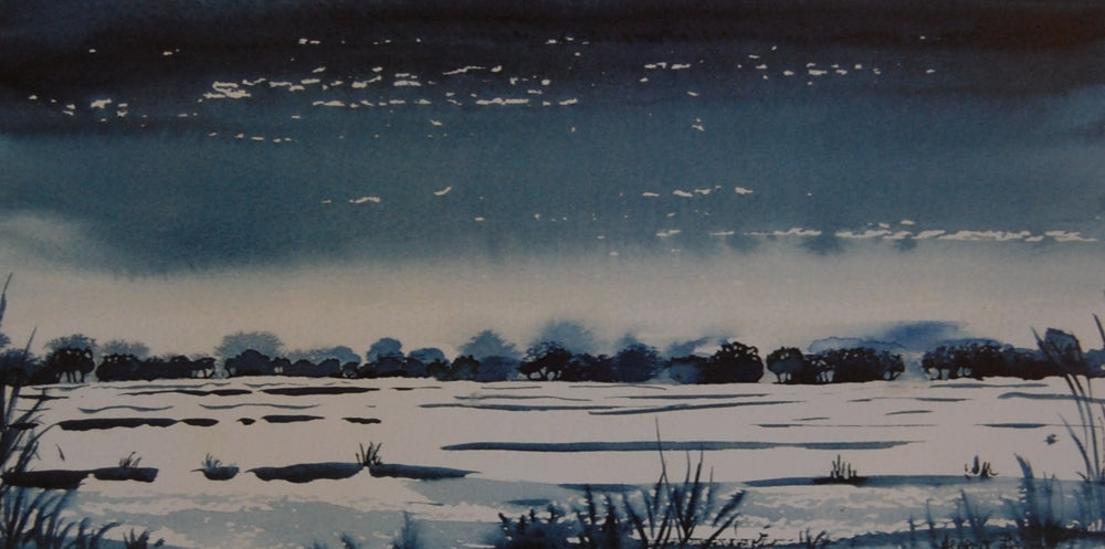 Alison Jones Moonlit Night Print (COM)