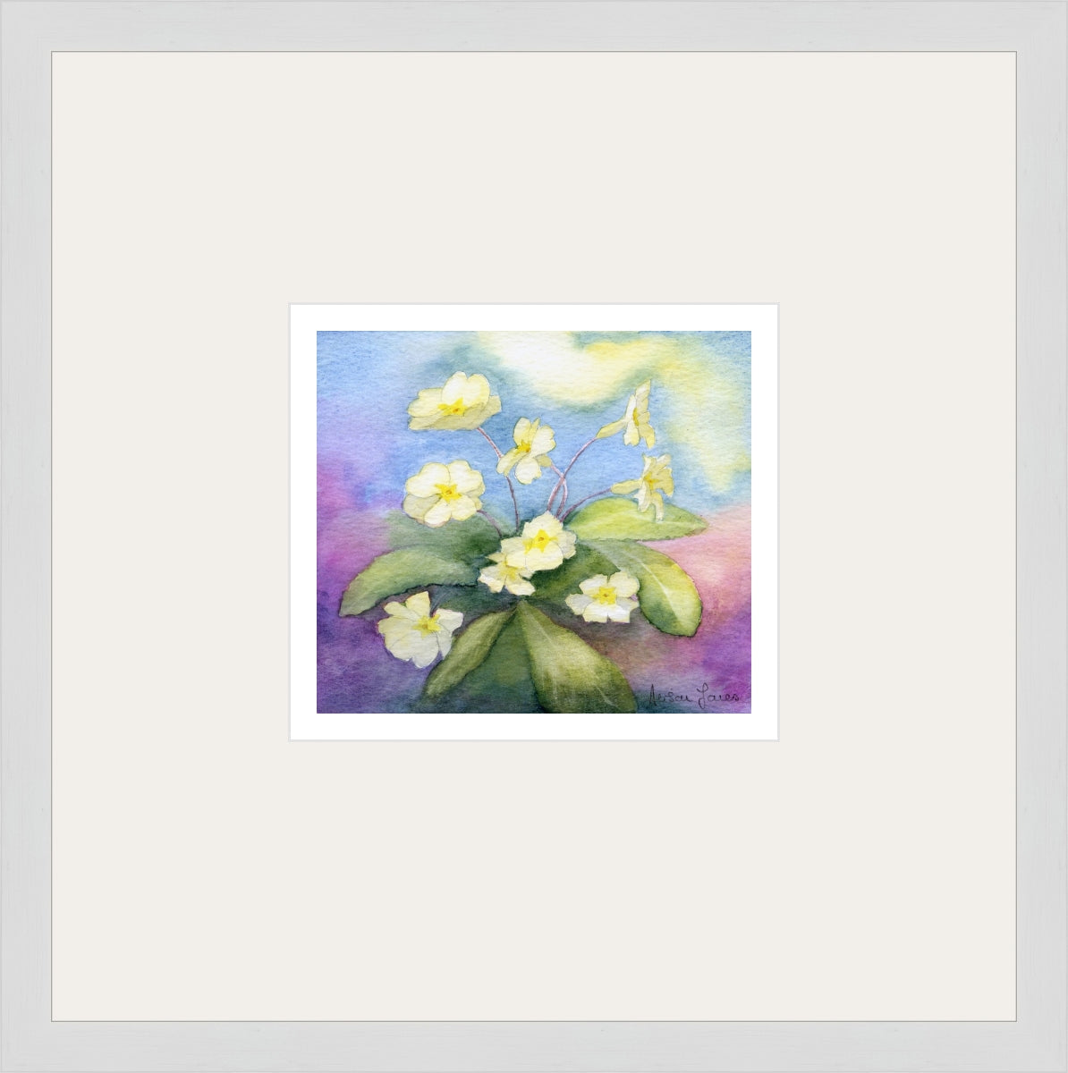 Alison Jones Primroses Print (COM)
