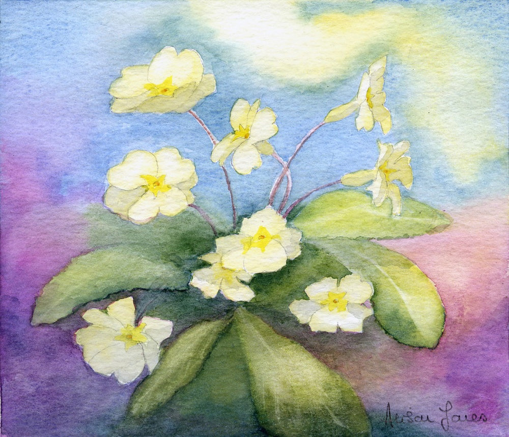 Alison Jones Primroses Print (COM)