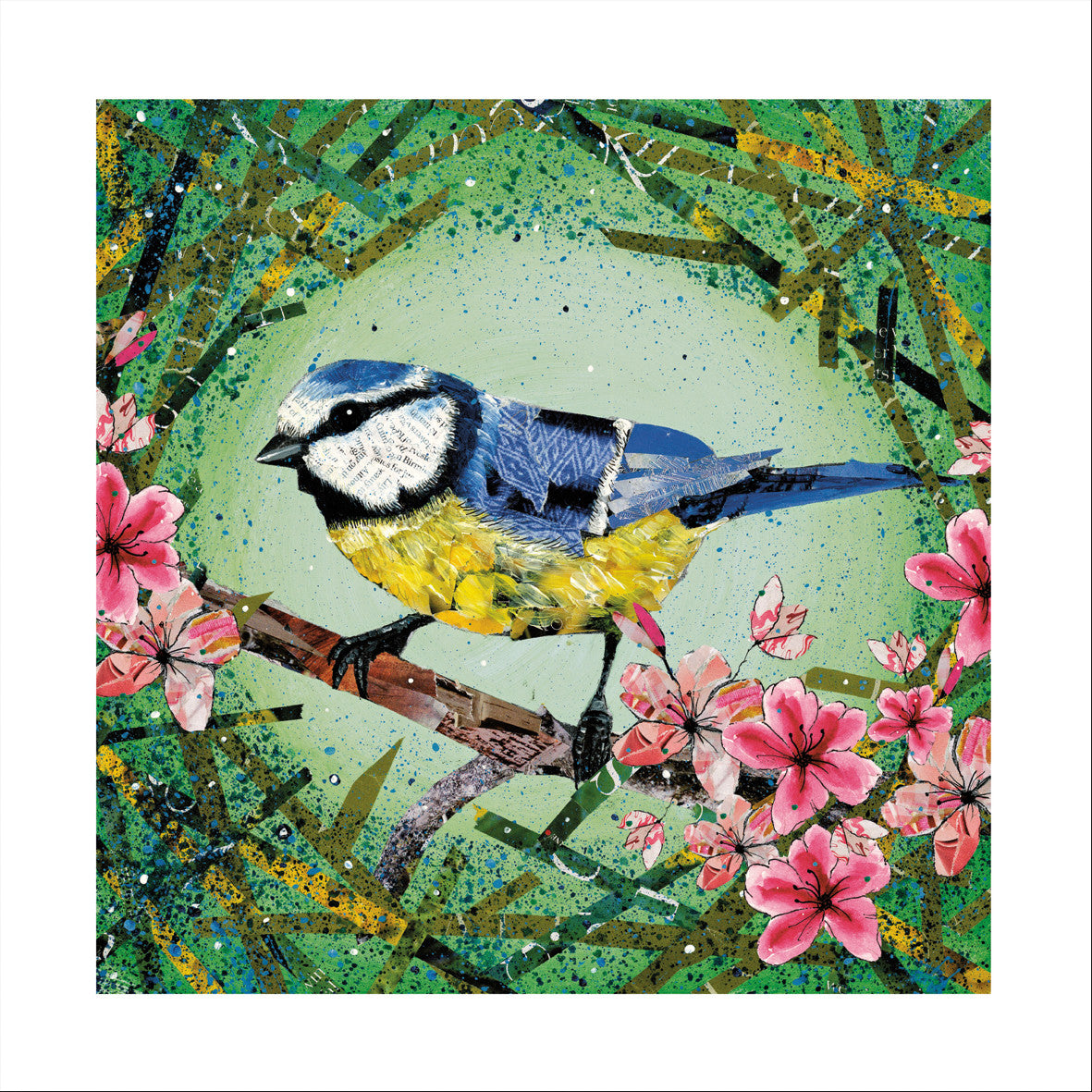 "Blue Tit in Blossom" card by Adam James Severn