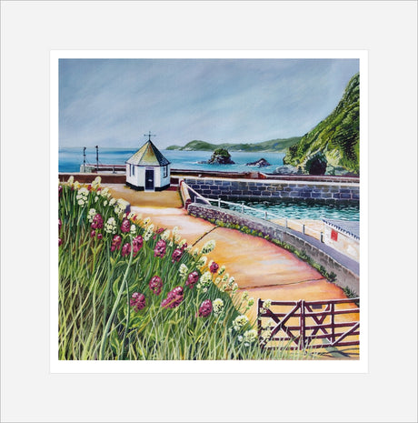 "Summer Flowers at Charlestown Harbour" prints by Liz Hackney
