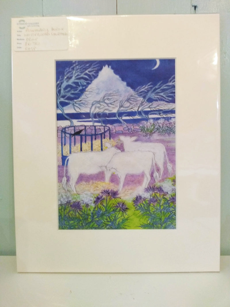 Whitebread Shorthorn Print print by Rosemary Horne
