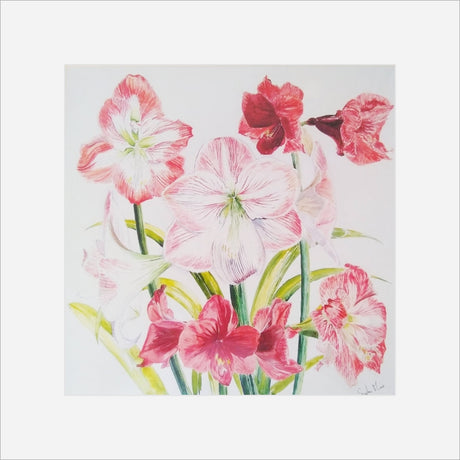 Stephen Morris, Hippeastrums Print